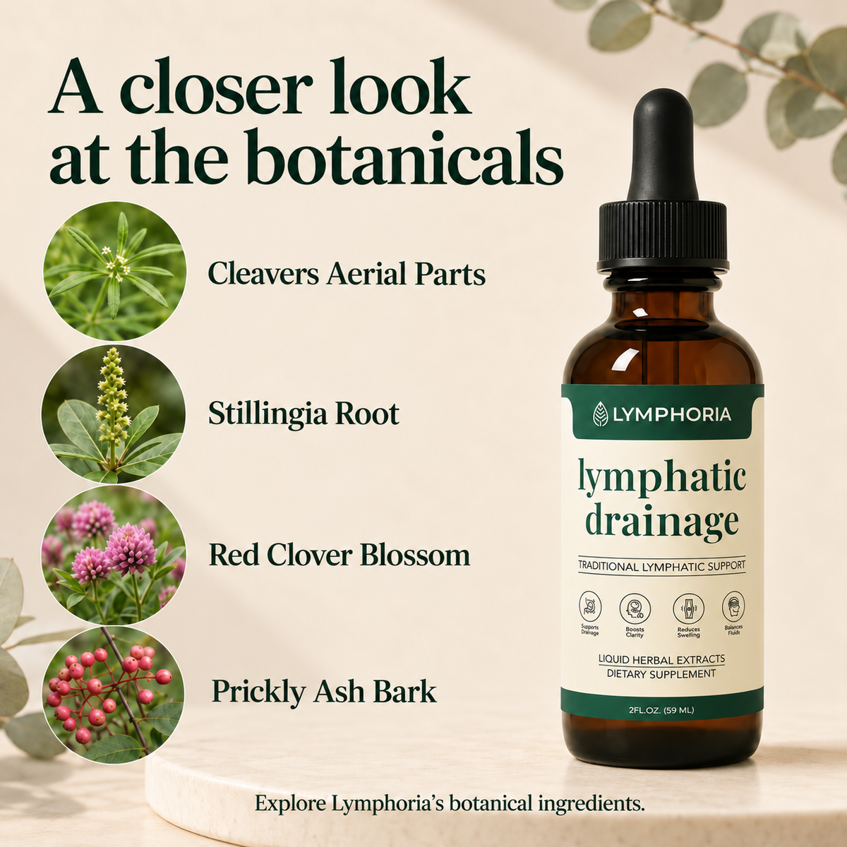 Lymphoria Lymphatic Drainage Drops | Koravani